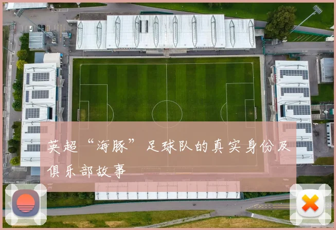 英超“海豚”足球队的真实身份及俱乐部故事